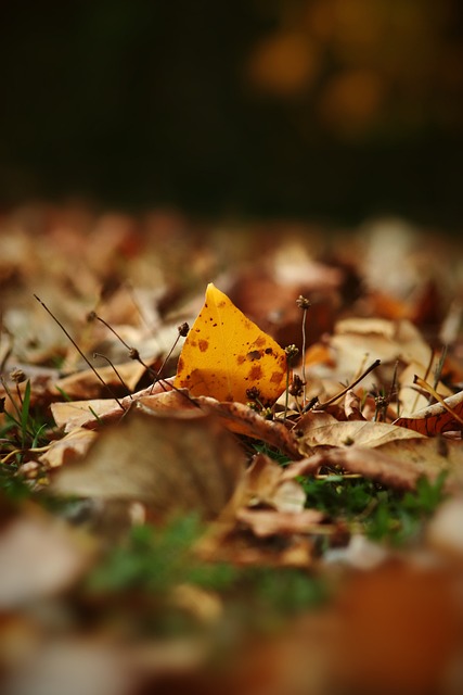 但在赛场表 但在赛场表