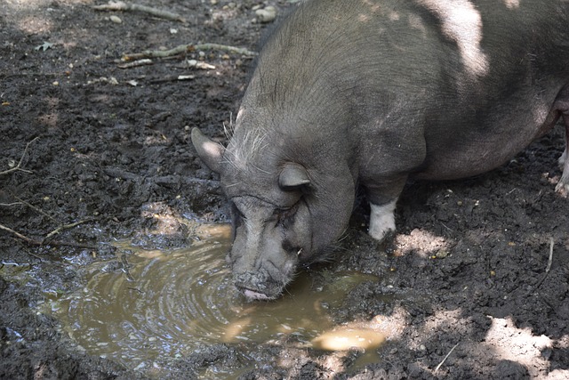 他们的表现 他们的表现