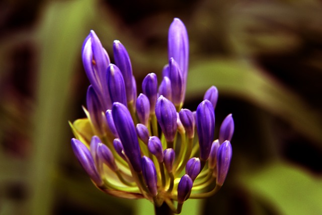 泳队在全国 泳队在全国