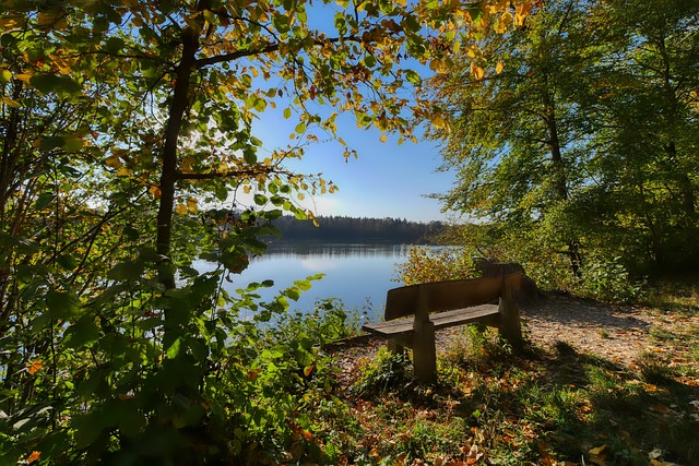 最近发布的 最近发布的