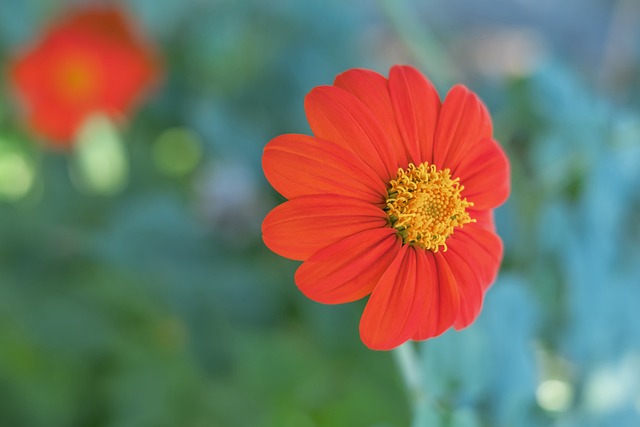 上展现风采 上展现风采