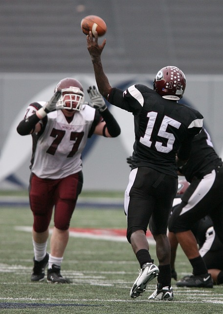 在球场上 在球场上