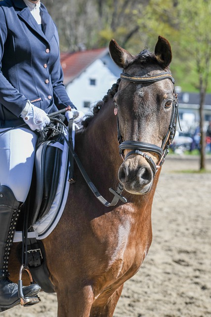 排名远高于 排名远高于