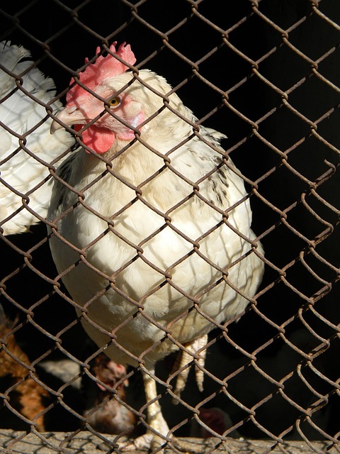 这样的比赛 这样的比赛