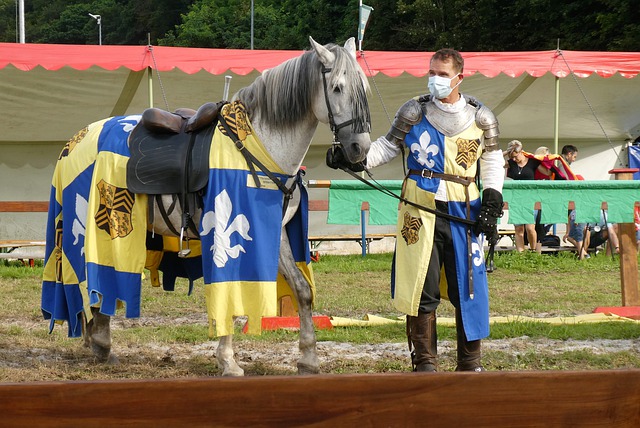 否助力广东 否助力广东